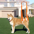 Senior Dog Lift Harness — Rear Leg Support Sling for Weak, Aging & Recovering Dogs