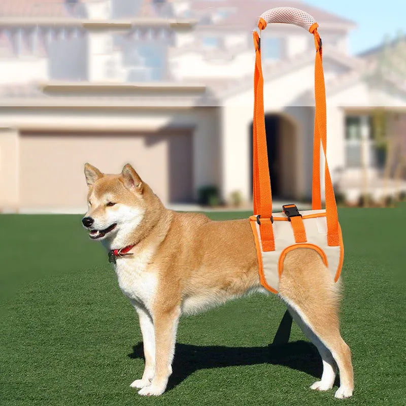 Senior Dog Lift Harness — Rear Leg Support Sling for Weak, Aging & Recovering Dogs